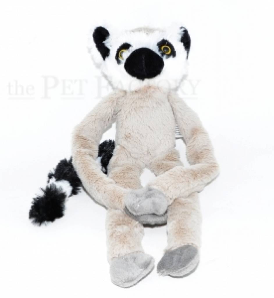 Kuschel Lemur